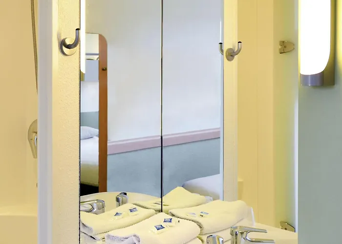 Ibis budget Orléans Sud Comet