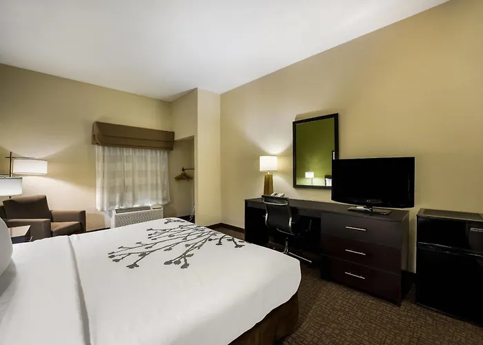 Sleep Inn & Suites Mall Area