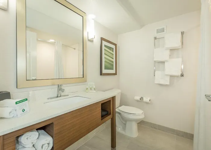 Holiday Inn Hotel And Suites Peachtree City By Ihg