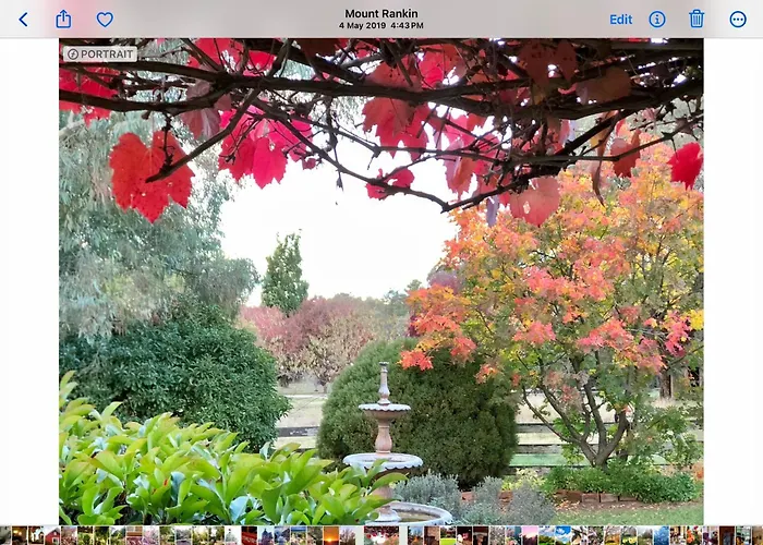 Hawk'S Nest Bed & Breakfast