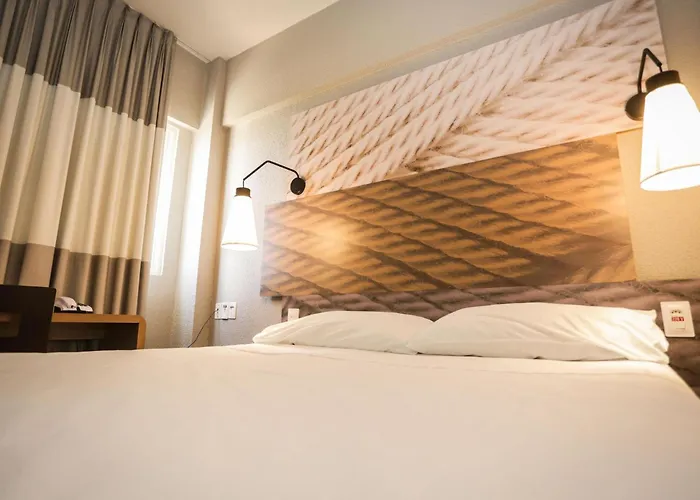 Ibis Teresina