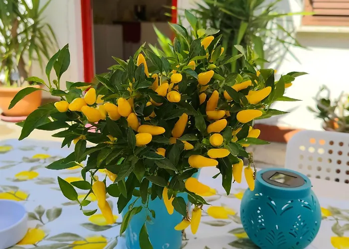 Giallo Limone