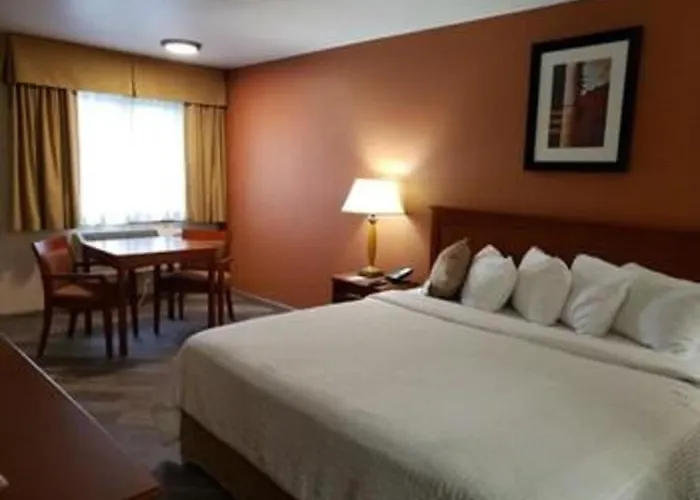 Airport Inn