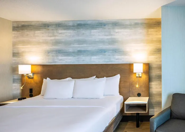 Levis Dog Friendly Hotels