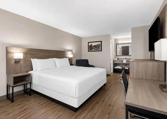 Quality Inn & Suites Ocala I-75