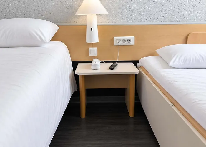 ibis Saint Rambert d'Albon