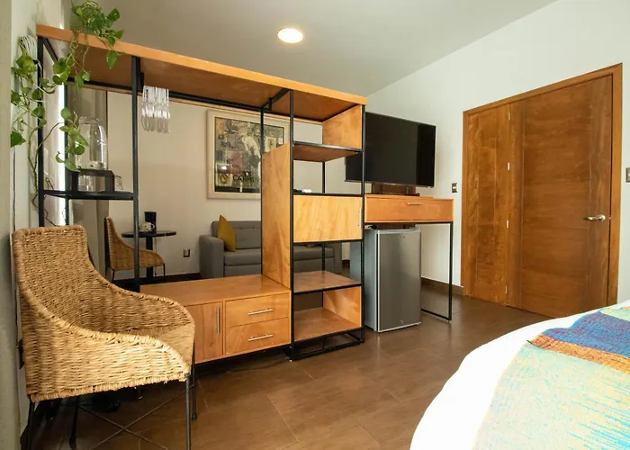 Oaxaca Dog Friendly Hotels