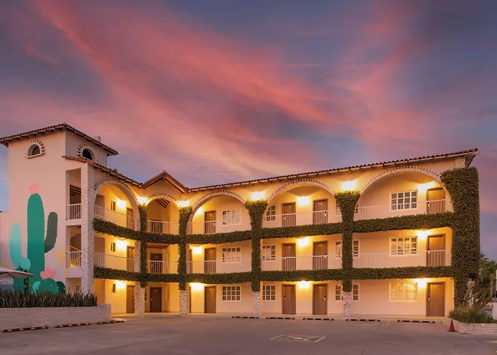 Hoteles que admiten perros en Ensenada 