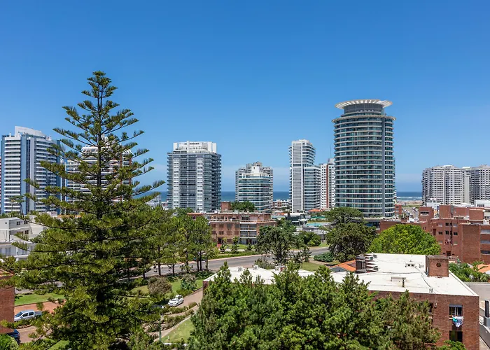 Hotéis que aceitam cães de Punta del Este