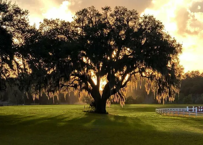 The Grand Oaks Resort