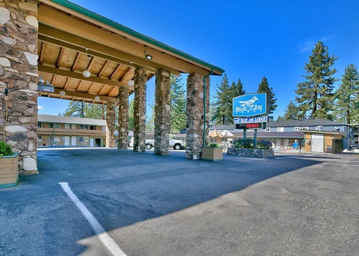 Incline Village Dog Friendly Hotels