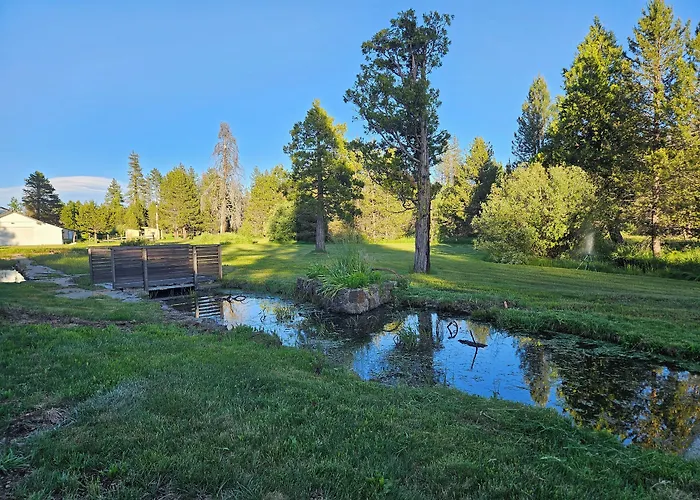 Black Forest Lodge