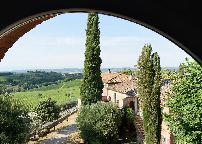 Laqua Vineyard