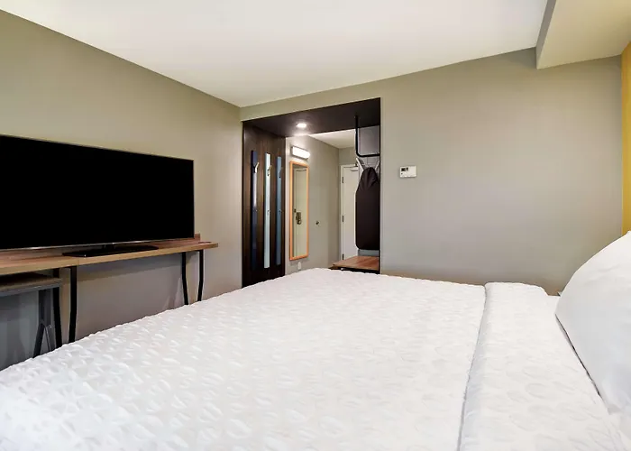 Smyrna Dog Friendly Hotels
