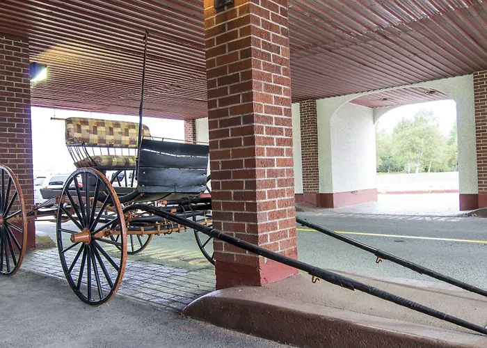 Gander Dog Friendly Hotels