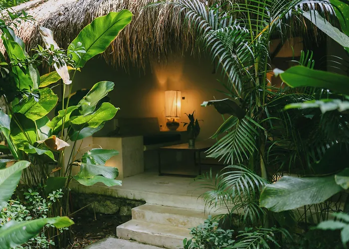 Piedra De Agua Palenque