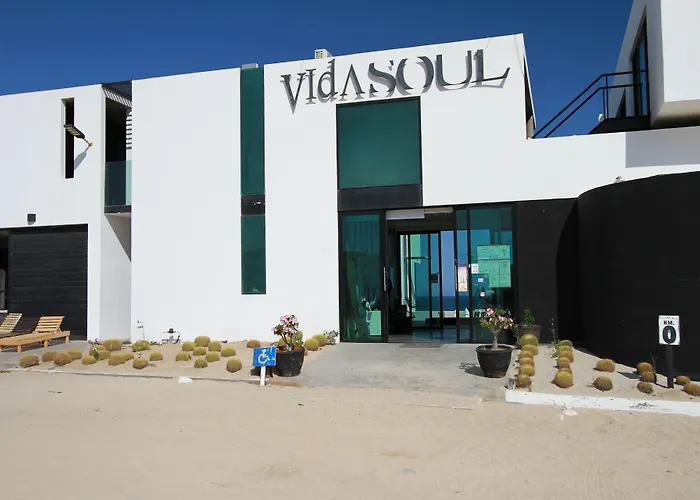 Vidasoul