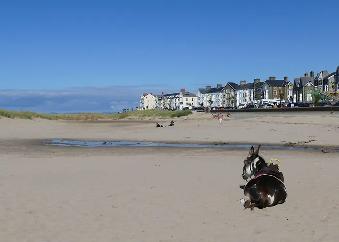 Hôtels de Barmouth qui acceptent les chiens