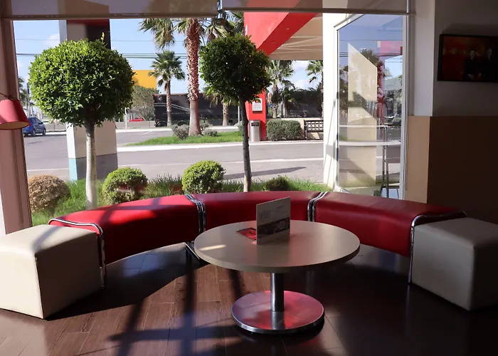 Hoteles que admiten perros en San Luis Potosí 