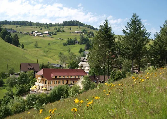 Grüner Baum Naturparkhotel&Schwarzwald-Restaurant Todtnau