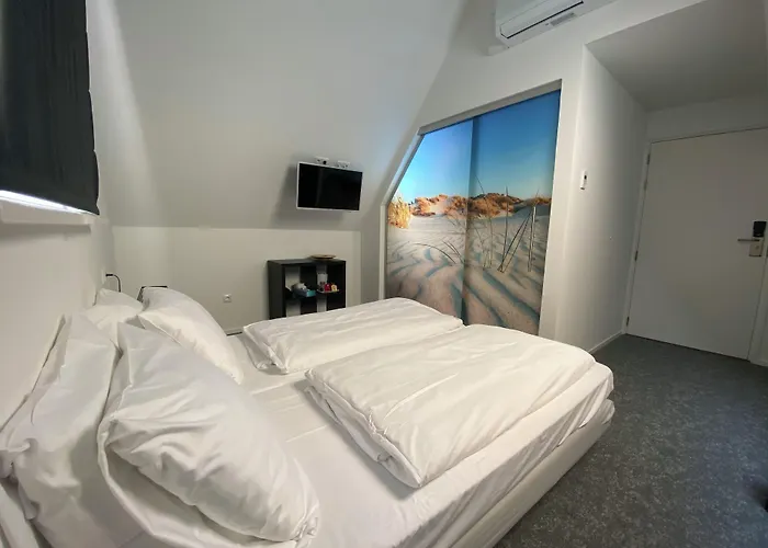 Hondvriendelijke hotels in Ameland