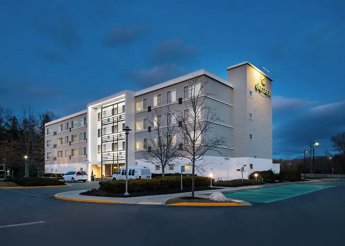 Element Lexington