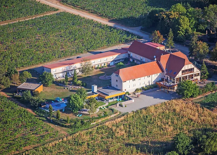 Hôtel du Bollenberg Cit'Hotel - Restaurant Côté Plaine - Spa de la Colline