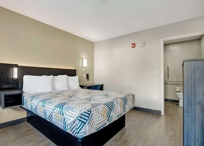 Venice Dog Friendly Hotels