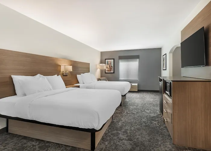 Manchester Dog Friendly Hotels