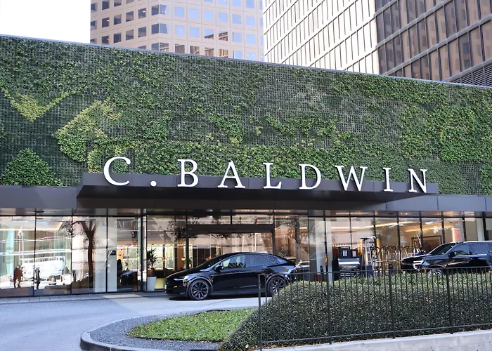 C. Baldwin, Curio Collection By Hilton