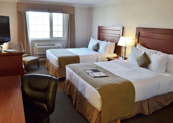 Whitehorse Dog Friendly Hotels