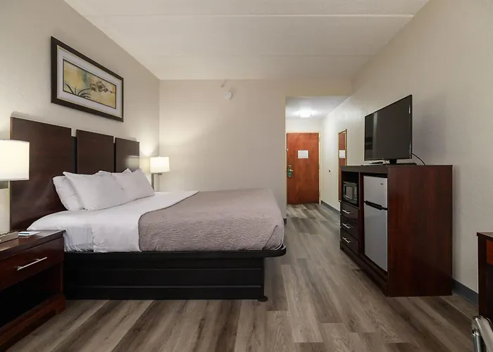 Quality Inn & Suites South
