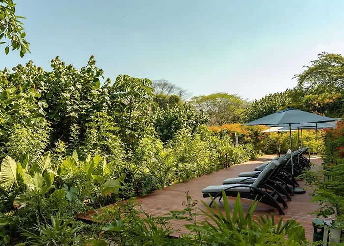 Armony Marival Resort&Spa Punta de Mita - MGallery collection
