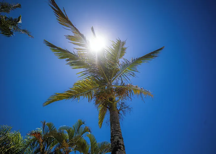 Rota do Sol