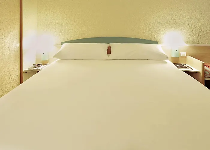 Ibis Guimaraes
