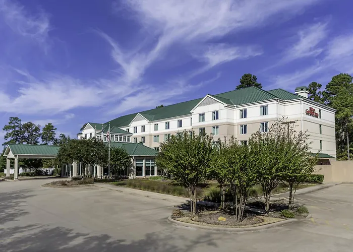 Hilton Garden Inn Houston/The Woodlands