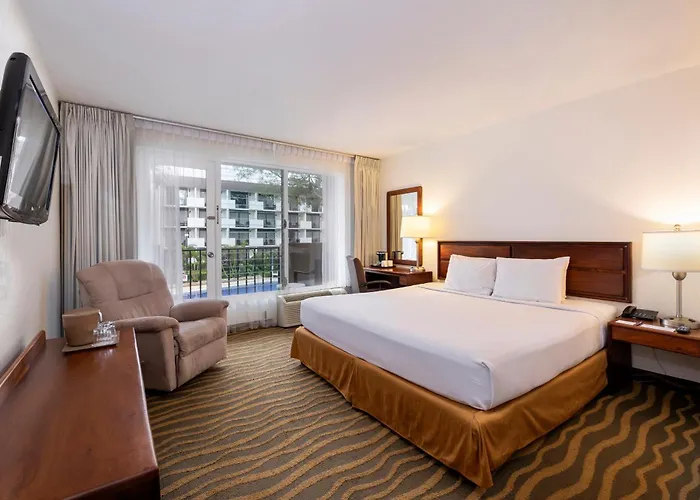 Irazu Hotel & Studios