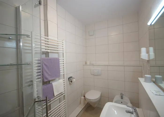 Hotel Weidenau Bad Orb