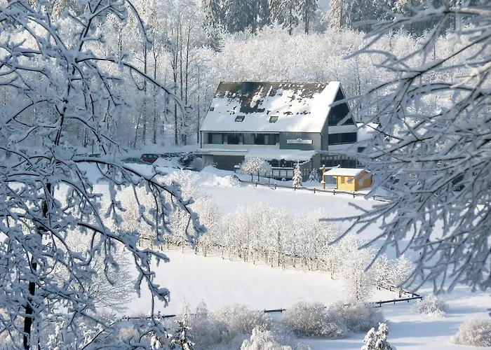 Ginsberger Heide