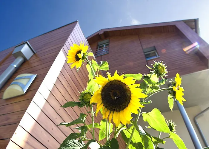 Mittendorf Klimaresidence