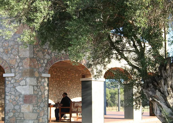Hotel Mas Oliveres Pla De Palau Llers