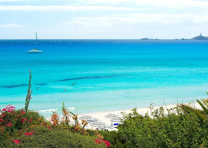 Hotel Simius Playa