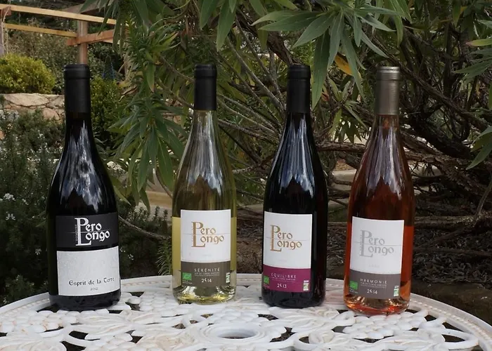 Chambre d'Hôtes Domaine Pero Longo