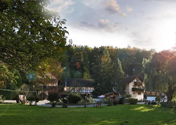 Hotel Restaurant Paradeismuehle Klingenberg am Main