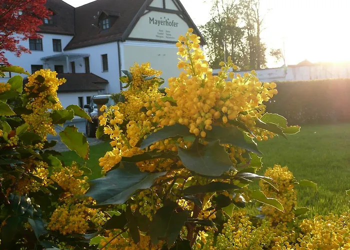 Hotel-Restaurant Mayerhofer Aldersbach