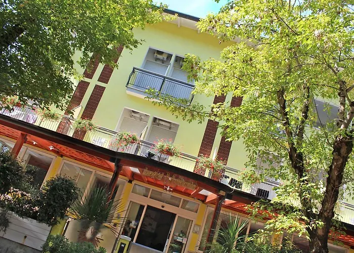 Hotel Metron