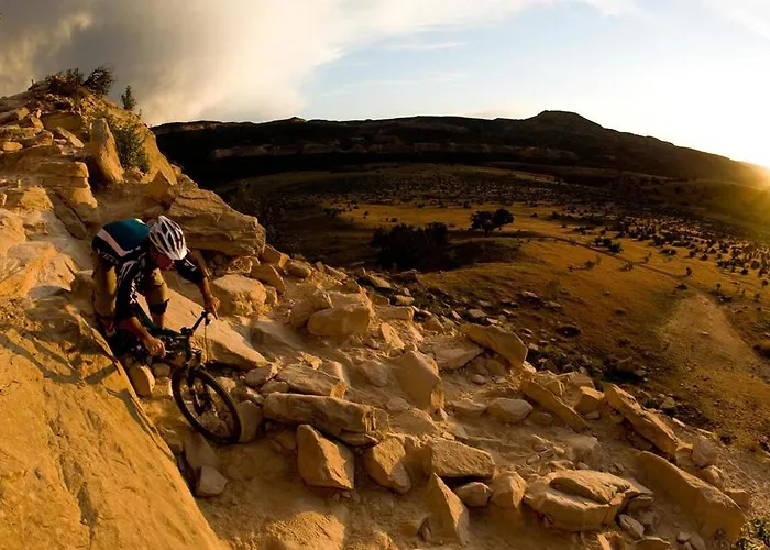 Super 8 By Wyndham Fruita