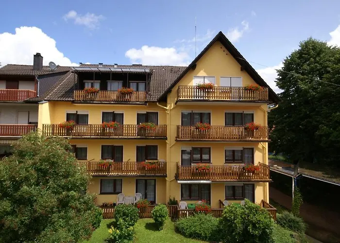 Hotel Weidenau