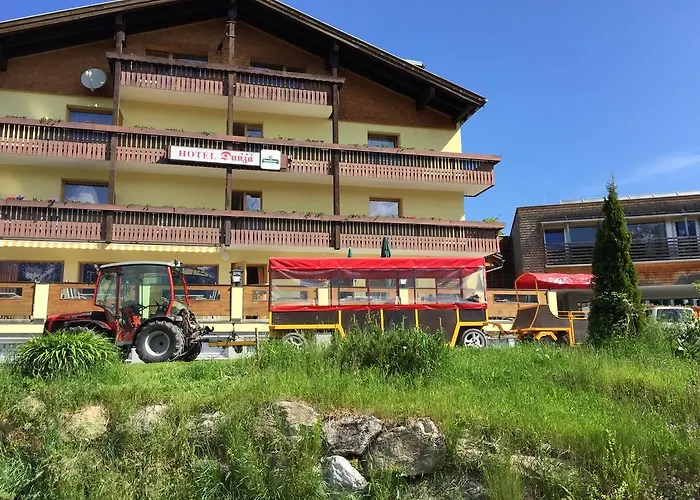 Residenz Dunza Hotel Garni Bürserberg