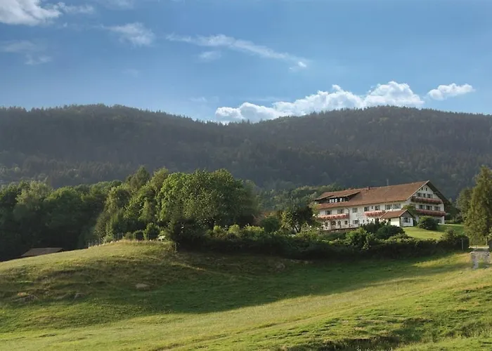 Hotel Wild-Berghof Buchet Bernried